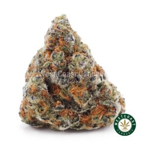 Supreme Gelato AAAA strain