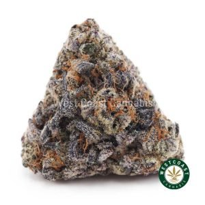 Tropicana Cookies AAAA strain