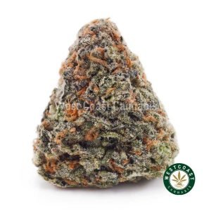 Buy Funky Charms AAAA strain online