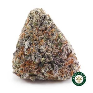 Snoop Dog OG AAAA strain