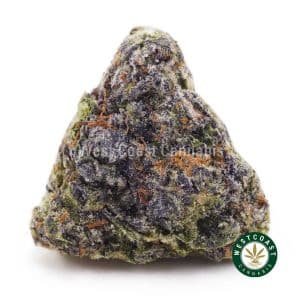 White Runtz AAAA strain