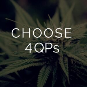 Buy Multi Pack Pound Quarter Pound strain online
